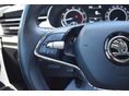 SKODA SCALA 2022/10 - 13