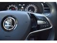 SKODA SCALA 2022/10 - 14