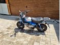 HONDA Z 125 MONKEY 2022/6 - 2