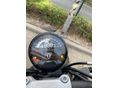 TRIUMPH TRIDENT 