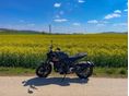 TRIUMPH TRIDENT 2022 - 5