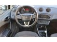 SEAT IBIZA 2009/1 - 7