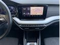 SKODA OCTAVIA 2021/7 - 17