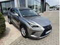 LEXUS NX 2020/1 - 1