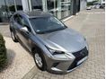 LEXUS NX 2020/1 - 2