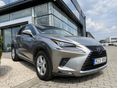 LEXUS NX 2020/1 - 3