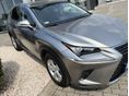 LEXUS NX 2020/1 - 4