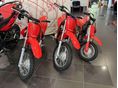 HONDA CRF 110 F Készletünkről !!!