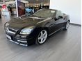 MERCEDES-BENZ SLK 200 2011/5 - 4
