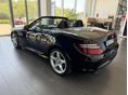MERCEDES-BENZ SLK 200 2011/5 - 3