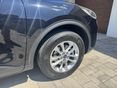 FORD KUGA 2023/9 - 3