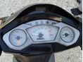 PGO T-REX 150 2008 - 5