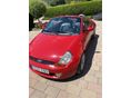 FORD STREETKA 2005/5 - 10