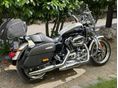 HARLEY-DAVIDSON SPORTSTER 2014 - 10