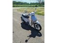 PIAGGIO LIBERTY 50 