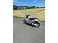 PIAGGIO LIBERTY 50 2008/1 - 12