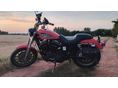 HARLEY-DAVIDSON SPORTSTER 883 R 2003 - 3