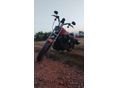 HARLEY-DAVIDSON SPORTSTER 883 R 2003 - 5