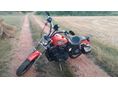 HARLEY-DAVIDSON SPORTSTER 883 R 2003 - 7