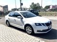 SKODA OCTAVIA 2019/3 - 2