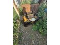 JCB 2019 - 8