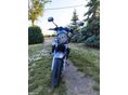 SUZUKI GSF 650 2009/4 - 4