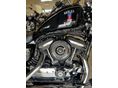 HARLEY-DAVIDSON SPORTSTER 2018/3 - 2