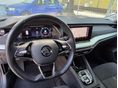 SKODA OCTAVIA 2021/5 - 9