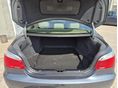 BMW 525 2008/1 - 10