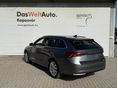 SKODA OCTAVIA 2026/7 - 2