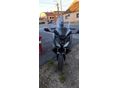 HONDA NSS 750 FORZA 2024/4 - 3