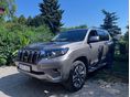 TOYOTA LAND CRUISER 2021/9 - 5