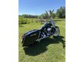 HARLEY-DAVIDSON ROAD KING 2006/5 - 9