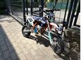 KTM 50 SX 2016/8 - 2