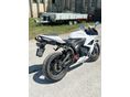 HONDA CBR 600 RR 2008 - 3