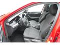 SKODA OCTAVIA 2021/2 - 10
