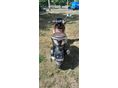 PIAGGIO BEVERLY 300 2013/8 - 9