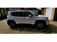 JEEP RENEGADE 2019/7 - 2