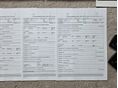 RENAULT GRAND SCENIC 2010/3 - 15