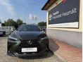 LEXUS NX 2025/7 - 6
