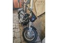 SUZUKI VZ 400 DESPERADO 1998 - 3