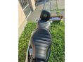 HARLEY-DAVIDSON SPORTSTER 2017/4 - 6