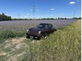 PORSCHE 911 1982/12 - 8