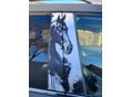 CHEVROLET CAPTIVA 2010/6 - 3