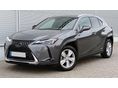 LEXUS UX 250h Elegance CVT LED/NAVI/KAMERA
