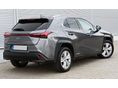 LEXUS UX 2022/2 - 2