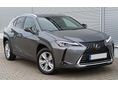 LEXUS UX 2022/2 - 4