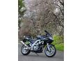 SUZUKI SV 650 S 
