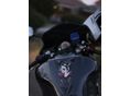 SUZUKI SV 650 S 2003/7 - 6