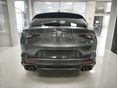 ALFA ROMEO STELVIO 2021/7 - 5